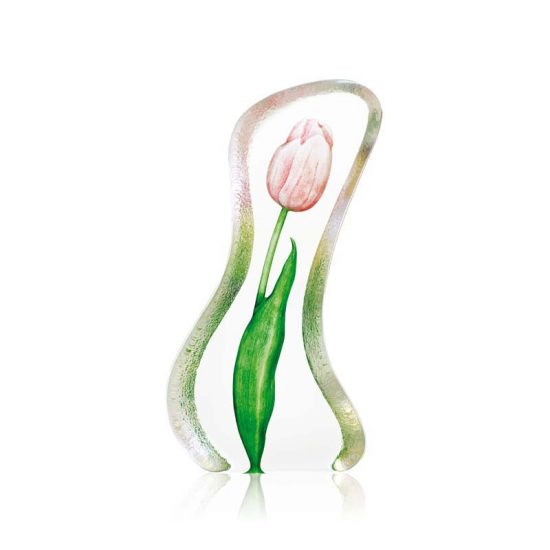 Floral Fantasy Tulip